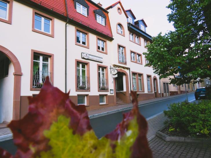 Hotel Am Markt Eckartsberga Екстер'єр фото